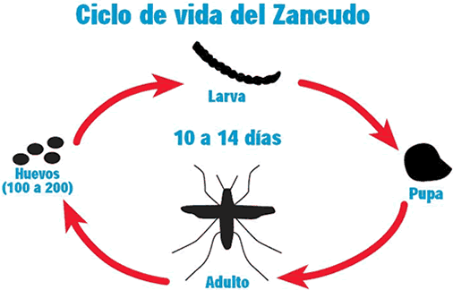 Emociónate Aventurero Ligero Zancudos | Productos para el Control de Plagas